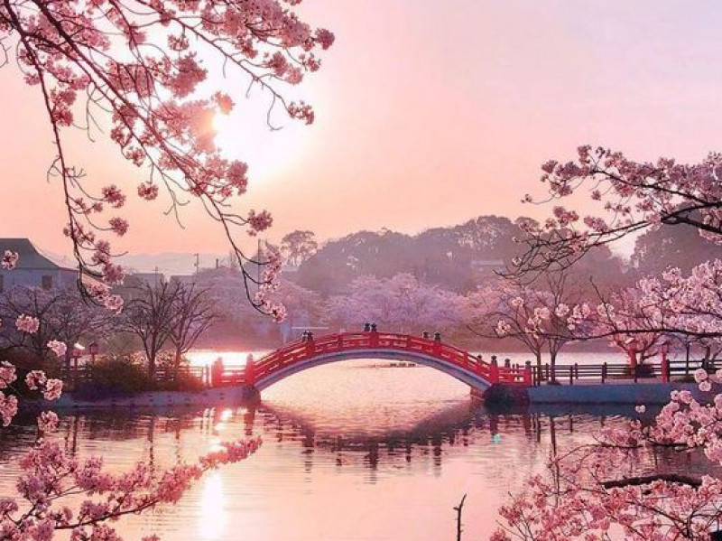 5-best-honeymoon-venues-in-japan-part-1