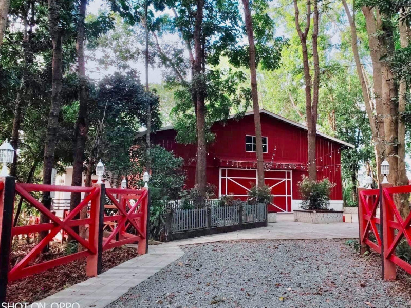 the-forest-barn