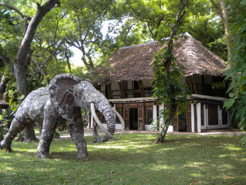 white-elephant-sea-art-lodge